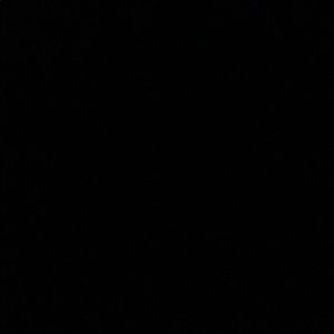 Meet your Posher, Lilliana